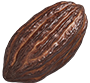 cacao1